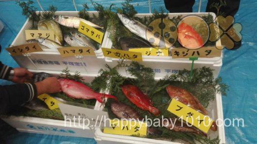 横浜中央市場　魚食を普及する会