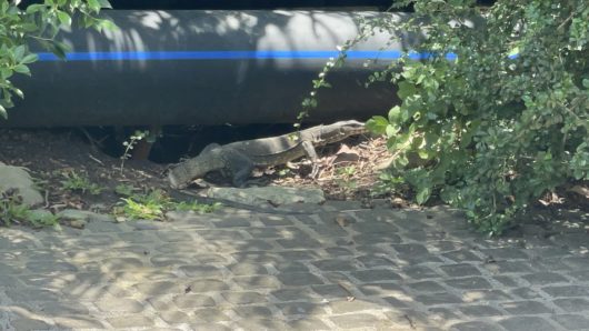 タイ航空,プーケット、子連れ,ナカアイランド,アオポーマリーナ,コインランドリー